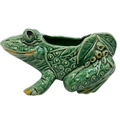Frog Planter