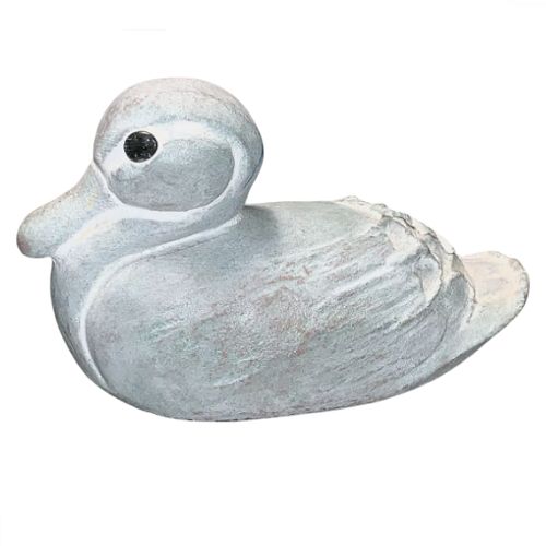 Black Eye Duck