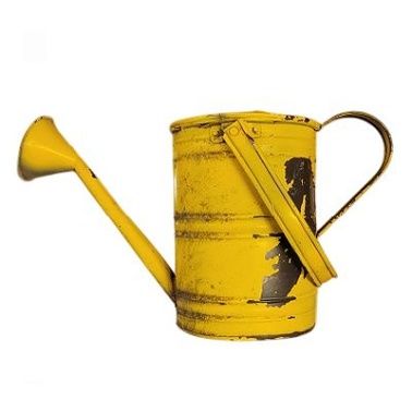Watering Can