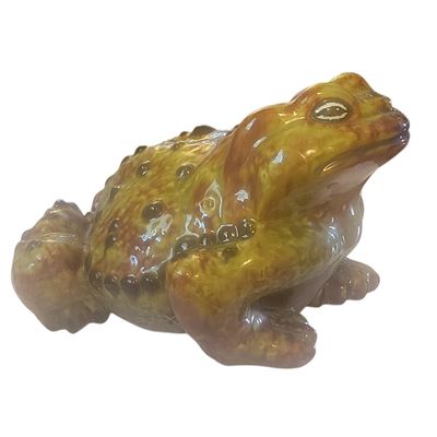Garden Frog