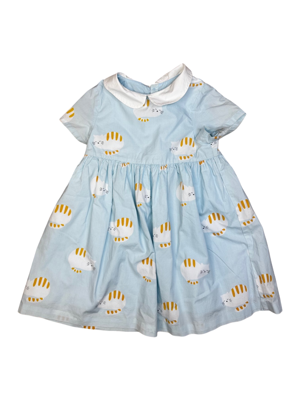 Robe 98750
