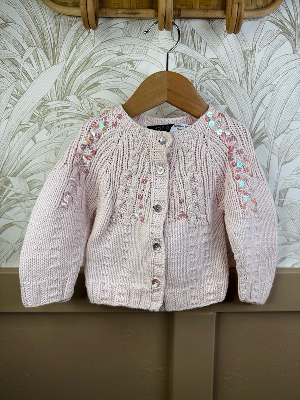 Cardigan 101118