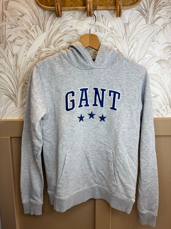 Sweat à capuche 101623