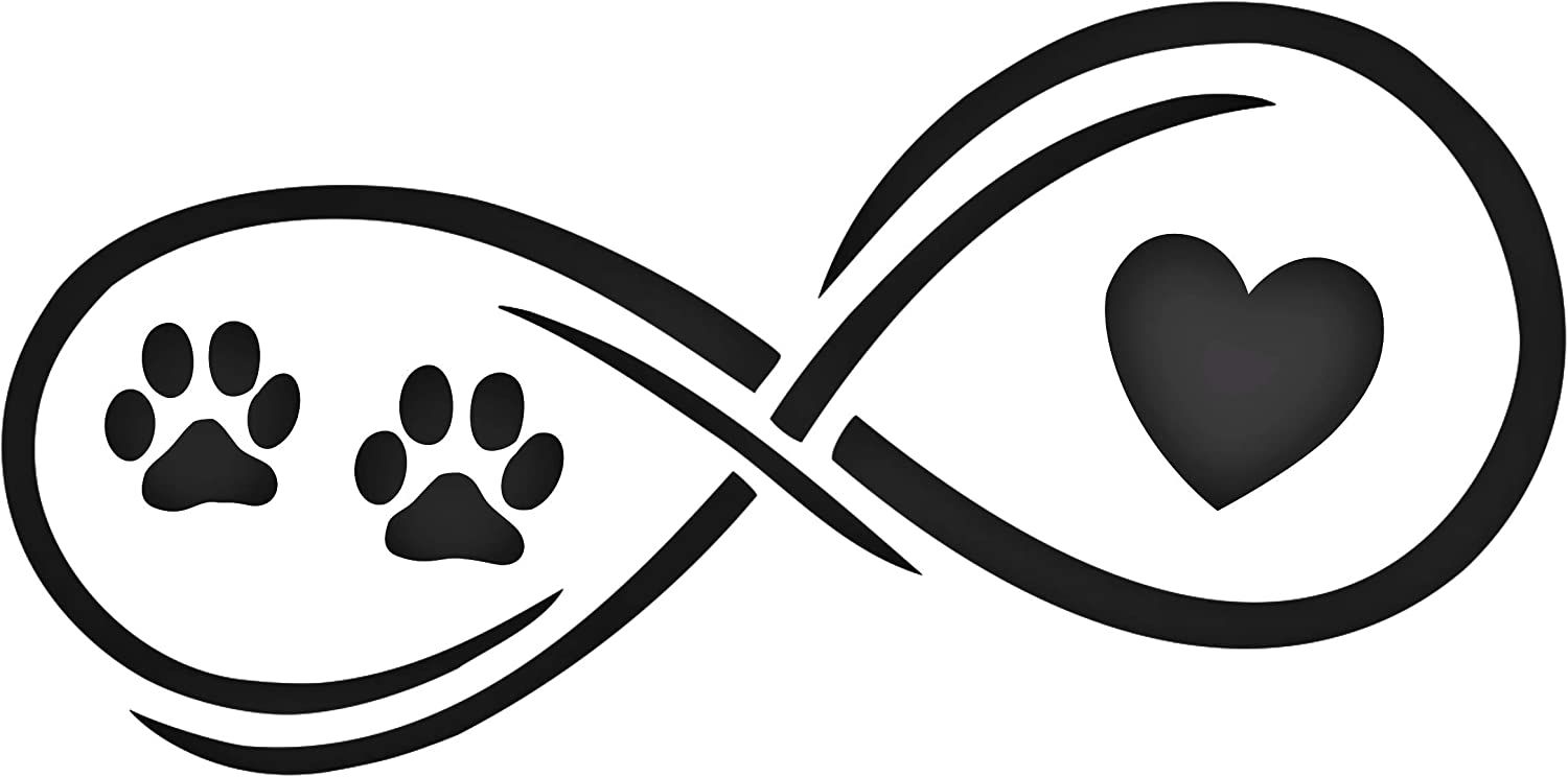 Pet Infinity 1