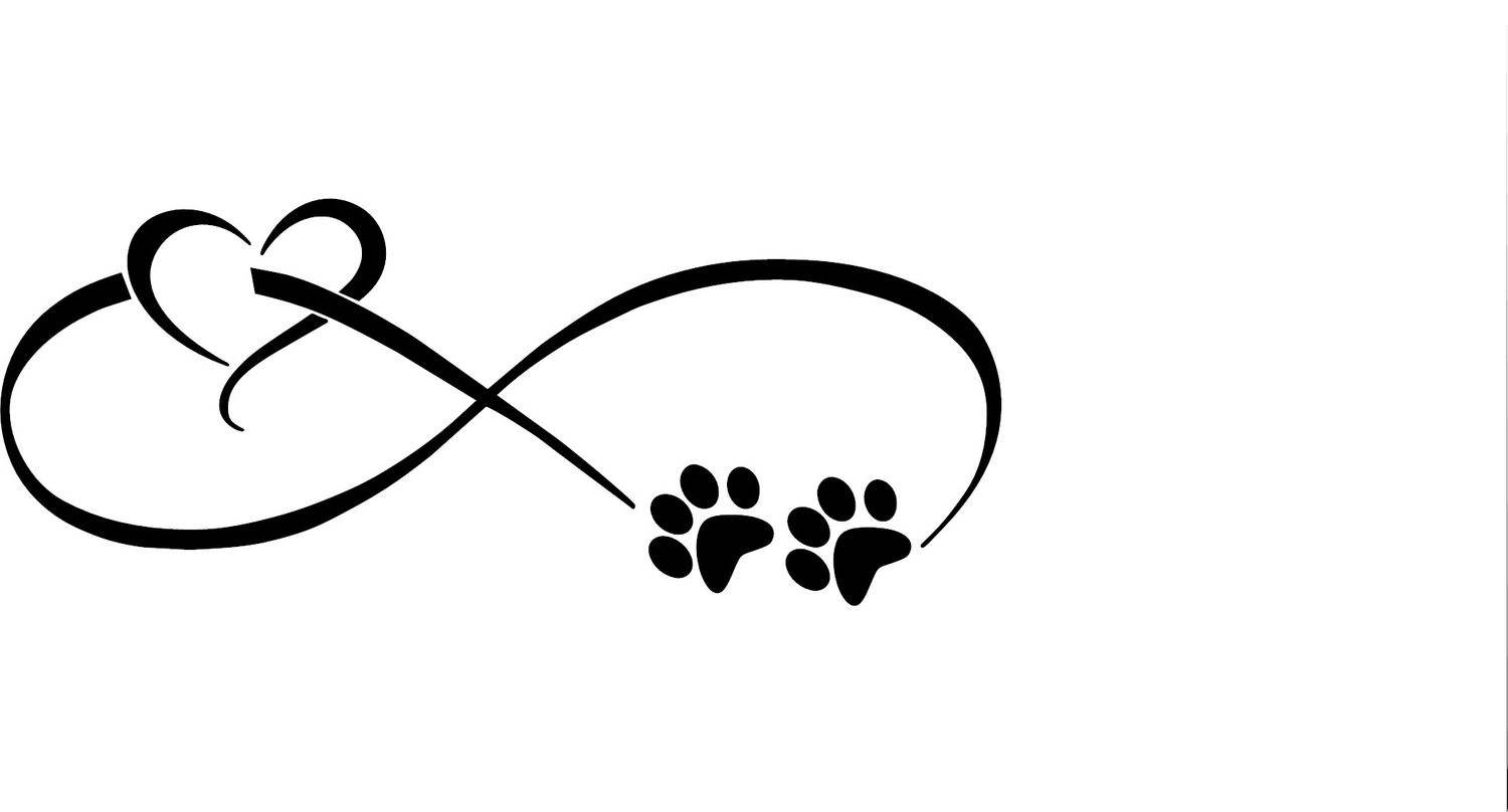 Pet Infinity 2
