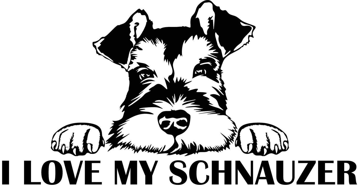 I Love My Schnauzer