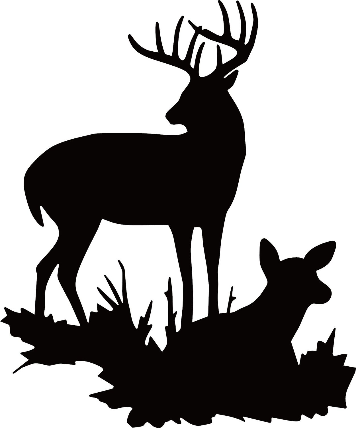 Buck With Doe