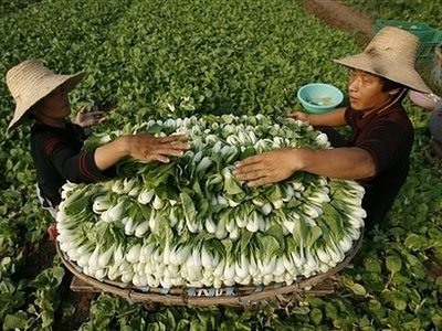 Aqua and Agri