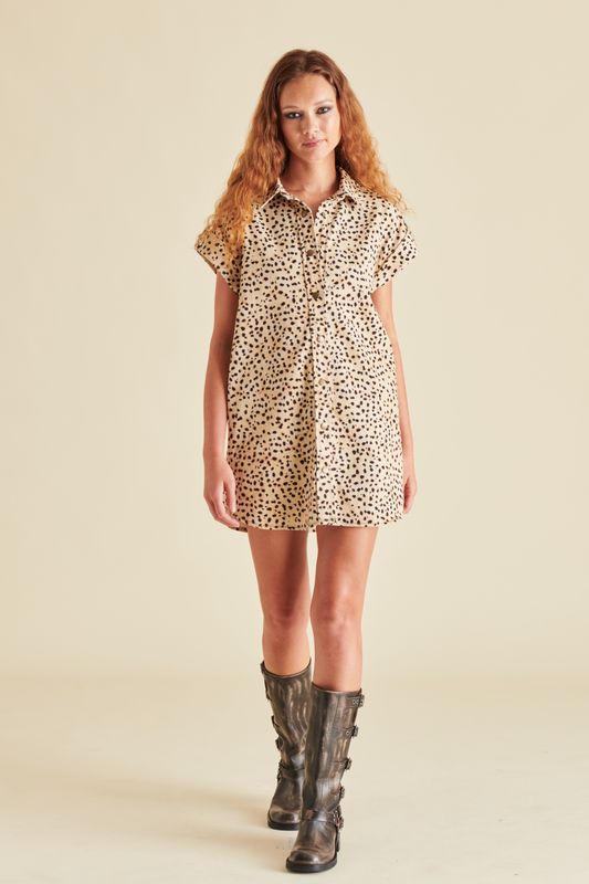 Ilara Dress
