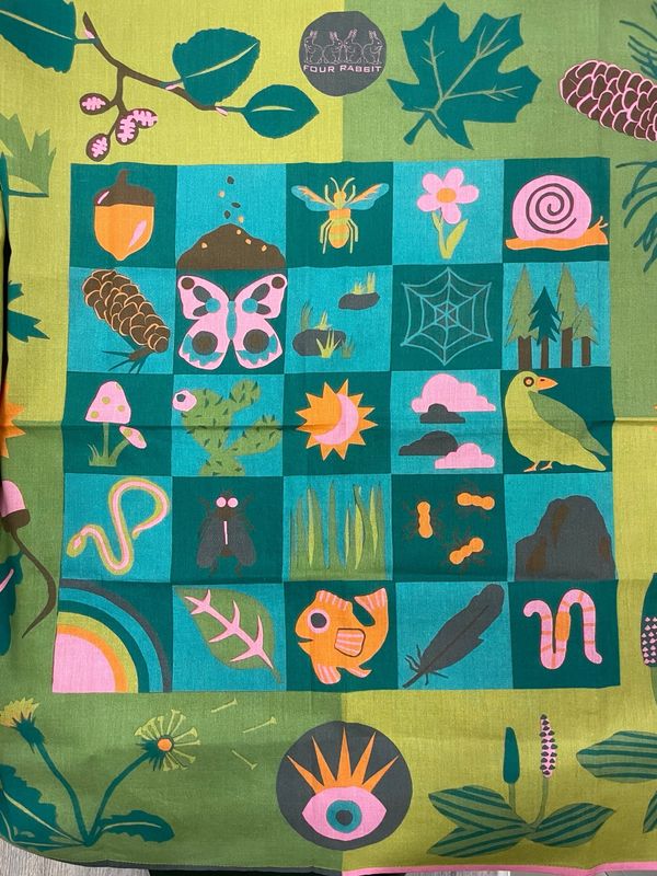 Four Rabbit Eye Spy