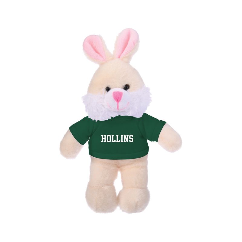 Stuffed animals - Hollins
