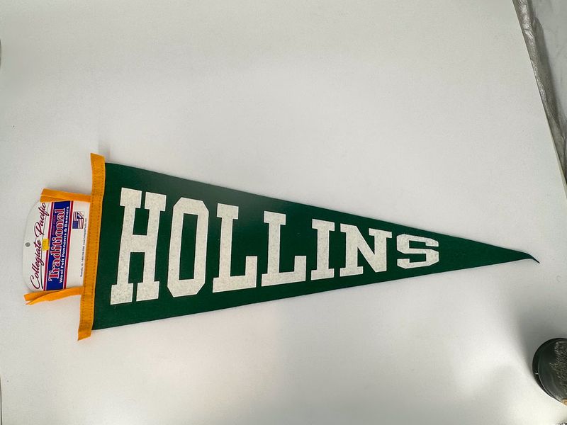 FELT PENNANT 12x30 Hollins