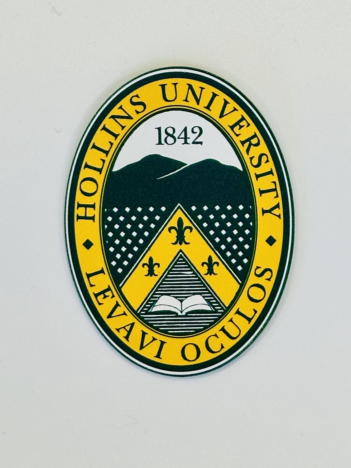 Hollins Seal  Magnet Large