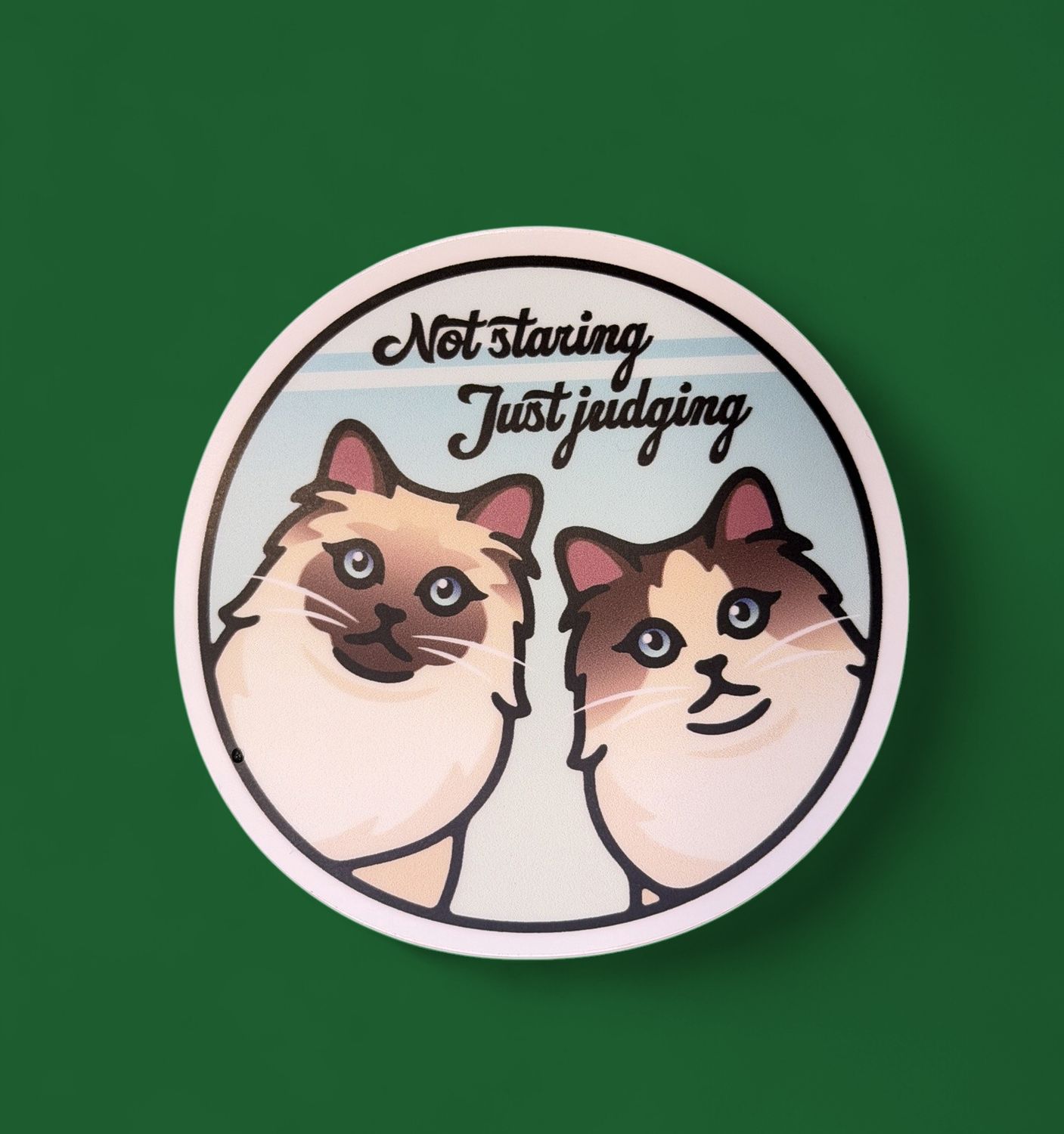 Not Staring Just Judging - Cats