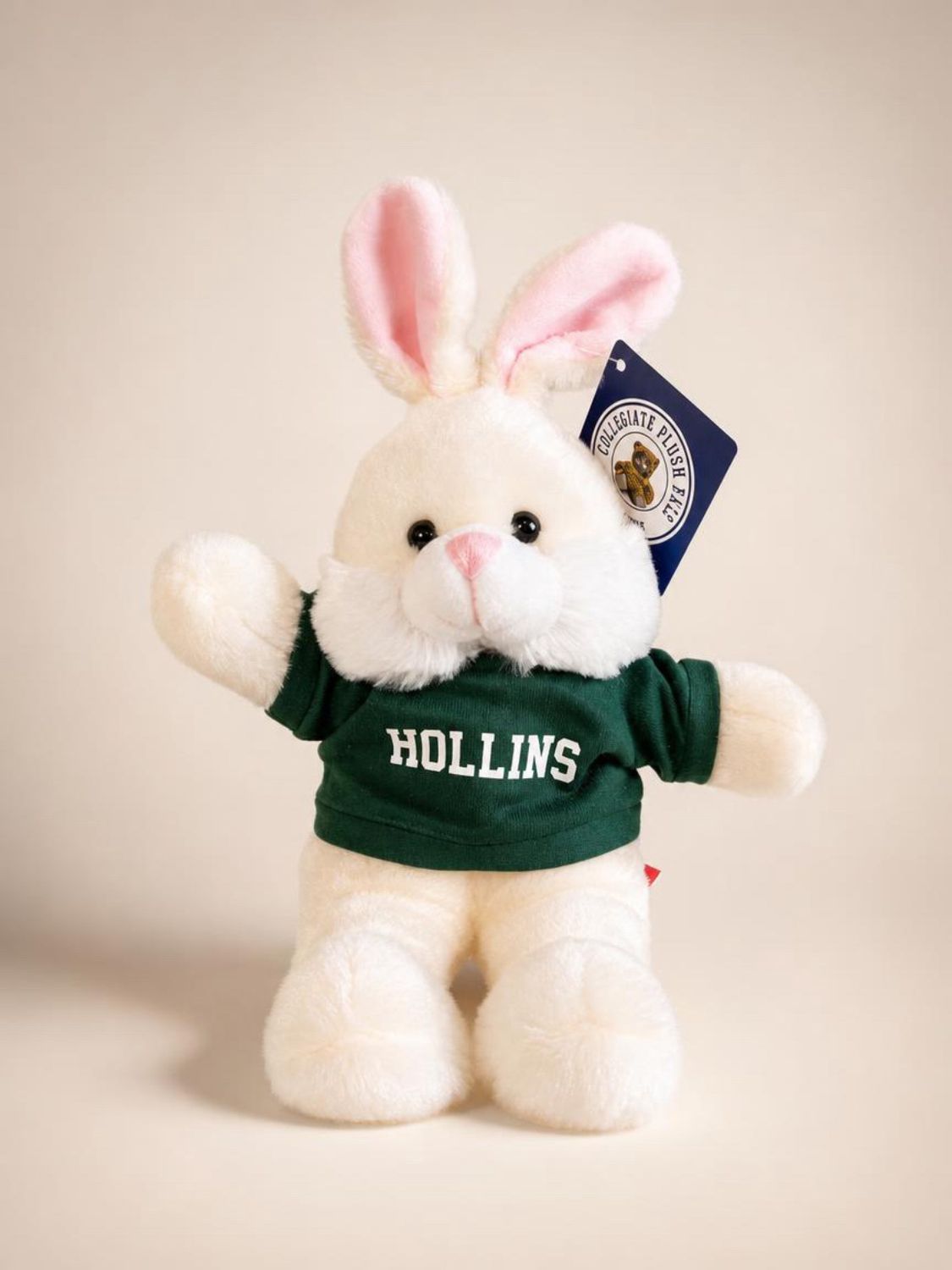 Beanie Buddies, Type: Bunny