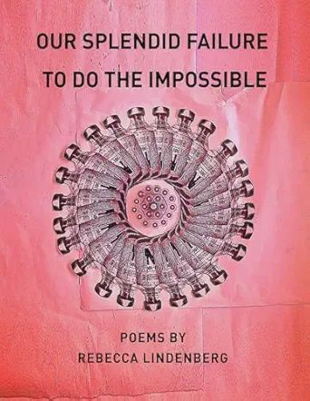 Our Splendid Failure to do the Impossible
