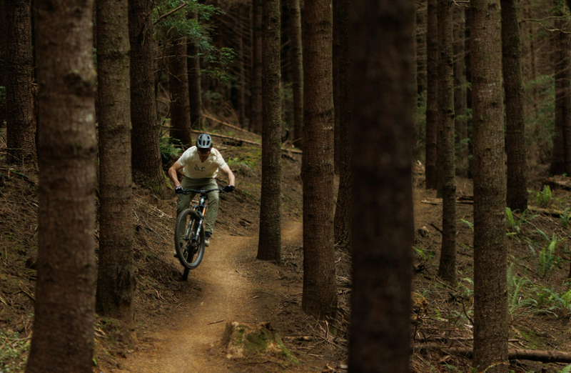Ibis Cycles at Suck Creek Cycle – Ride Lighter, Ride Faster in Chattanooga