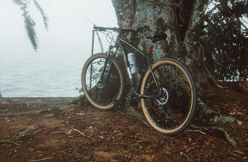 Previously Pedaled used mountain bikes – Shop online with nationwide shipping or at Suck Creek Cycle in Chattanooga, TN.