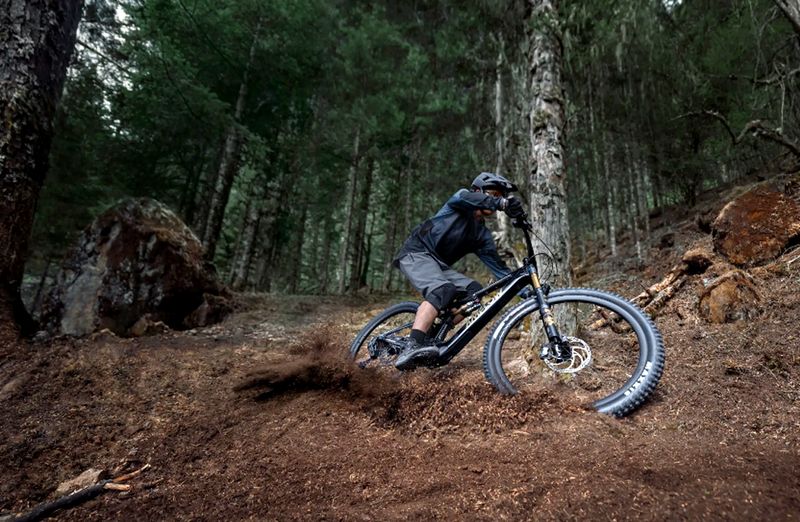 AMFLOW electric mountain bikes – Shop online with U.S. shipping or at Suck Creek Cycle, Chattanooga Tennessee’s AMFLOW dealer