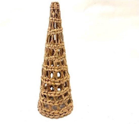 Kegel Riet - 50cm
