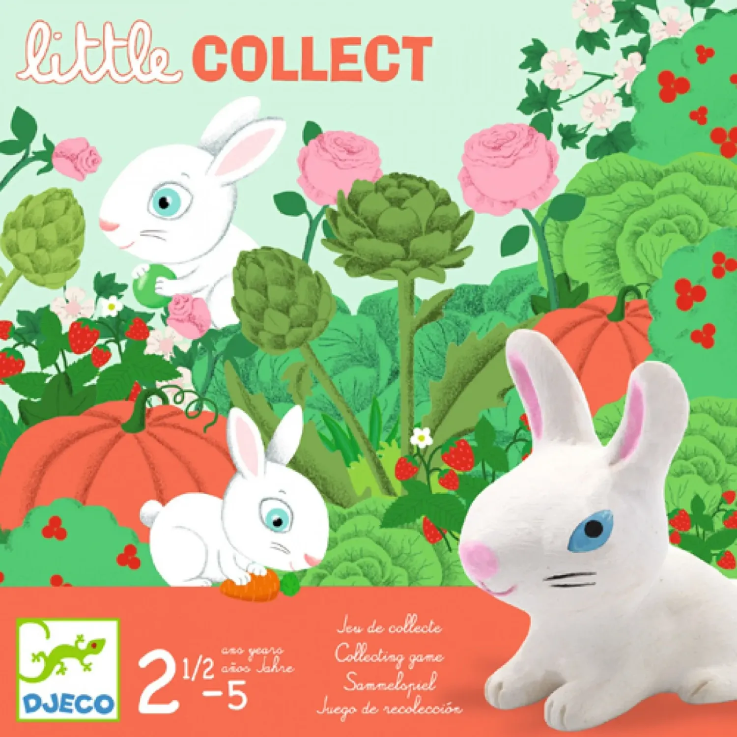 Djeco - Little collect