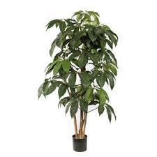 Kunstplant Schefflera 145 cm.