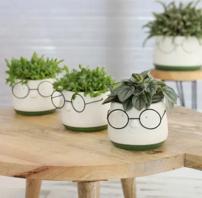 VAZEN &amp; PLANTEN