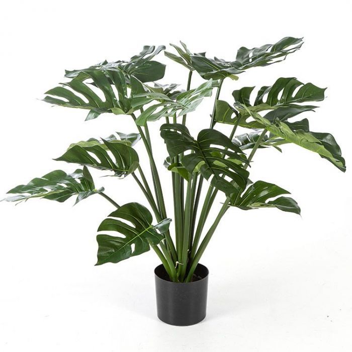 Kunstplant - Split Philo - 95cm