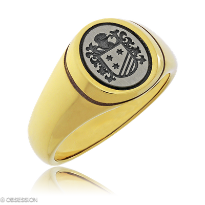 Siegel Siegelring in Gelbgold und Weissgold, mit einer Ringbreite von 13.3mm und einer Ringgrösse v…