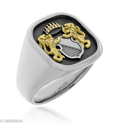 Wappen Wappenring in Weissgold und Gelbgold, mit einer Ringbreite von 19.1mm und einer Ringgrösse v…
