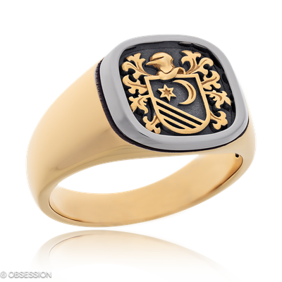 Wappen Wappenring in Rotgold und Weissgold, mit einer Ringbreite von 13mm und einer Ringgrösse von …