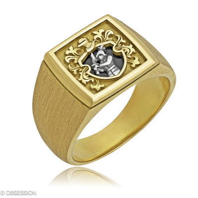 Wappen Wappenring in Gelbgold und Weissgold, mit einer Ringbreite von 13.3mm und einer Ringgrösse v…