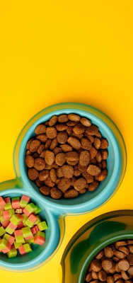 Alimentos