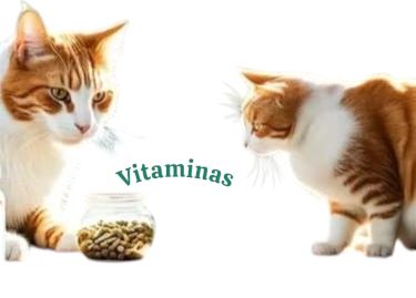 Vitaminas