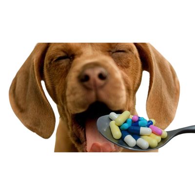 Antibioticos y Otros