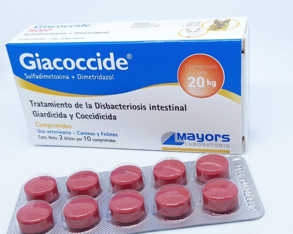 GIACOCCIDE 20