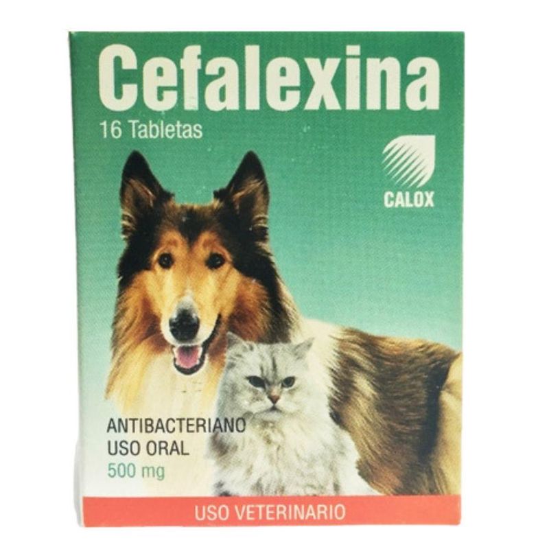 CEFALEXINA 500MG