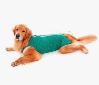 TRAJE POS QUIRURGICO VERDE TALLA 16