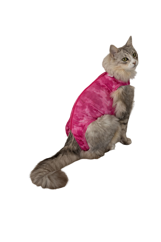 Traje Pos Quirúrgico Gato Talla 5