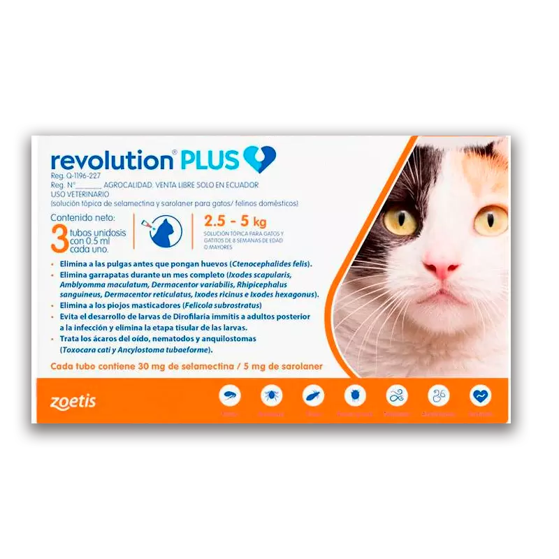 Revolution Gato  2.5 a 5 Kg