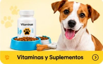 Vitaminas y Suplementos