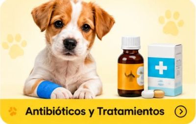 Antibioticos y Tratamientos