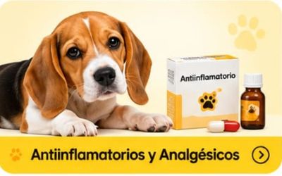 Antiflamatorios y Analgesicos