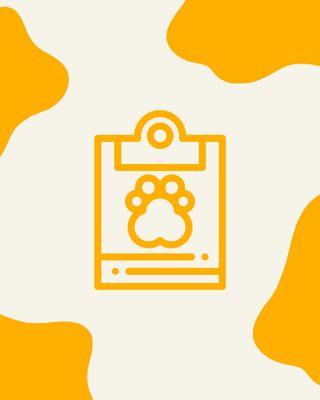 Diagnósticos