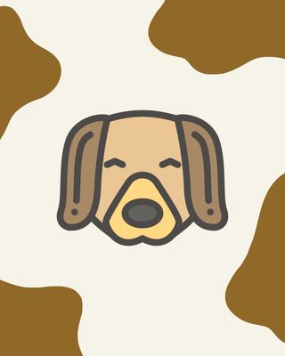 Perro