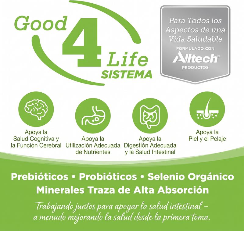 NutriSource® Weight Management - Alimento seco para perros, harina de pollo, granos inclusivos, probióticos y prebióticos apoyo, perros menos activos, sin maíz ni trigo ni soja. - 26 libras