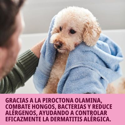 Virbac Allermyl Glyco - Champú dermatológico hipoalergénico para perros y gatos, piel sensible.  250 ml