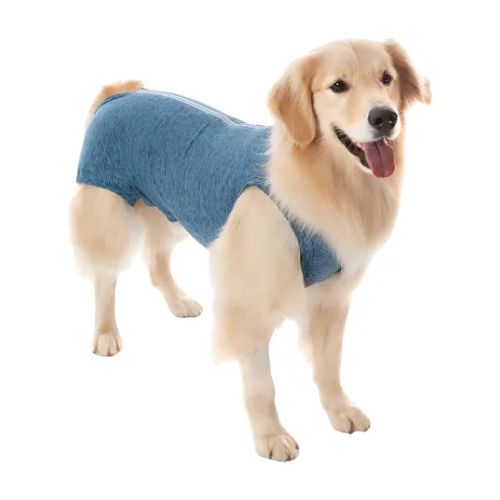 Traje Rcp Castración