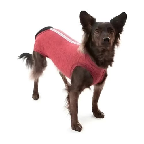 Traje Rcp Castración Regular TALLA 13