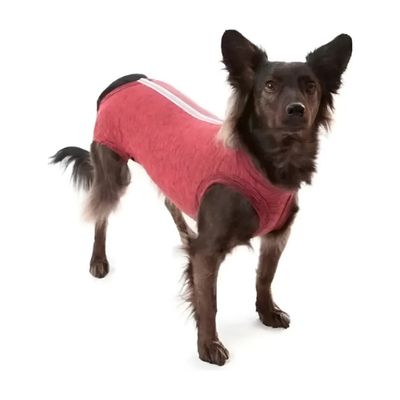 Traje Rcp Castración Regular TALLA 13